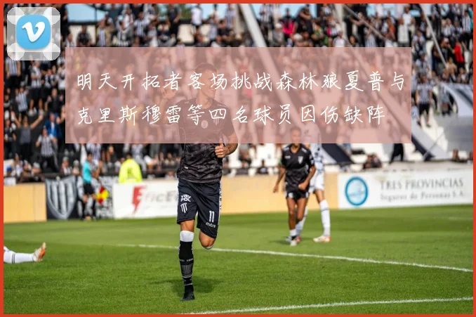 明天开拓者客场挑战森林狼夏普与克里斯穆雷等四名球员因伤缺阵