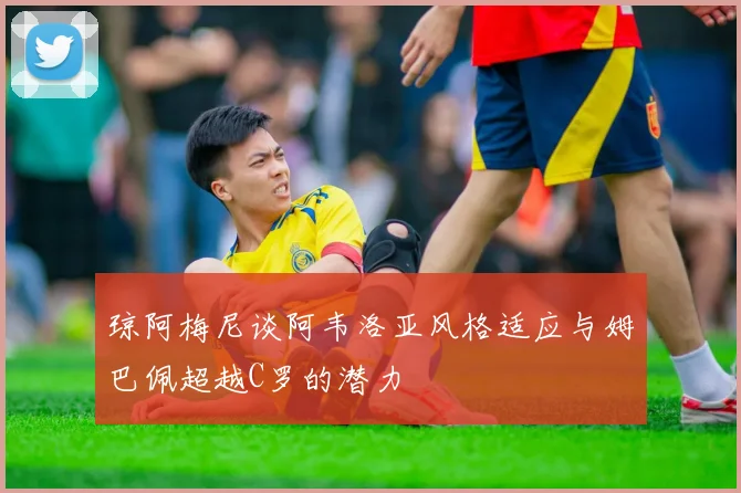 琼阿梅尼谈阿韦洛亚风格适应与姆巴佩超越C罗的潜力